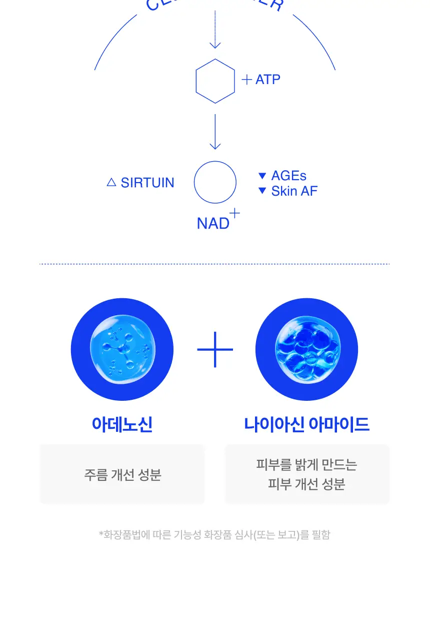 [5/8 하루특가/손티에이징] 에가 에센셜 핸드크림 50ml (미백/주름/NMN) 상세페이지 21